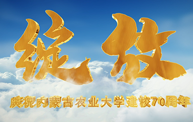 &#20048;&#40060;&#40;&#20013;&#22269;&#41;&#108;&#101;&#121;&#117;